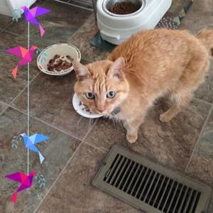 Meet your Posher, Jan